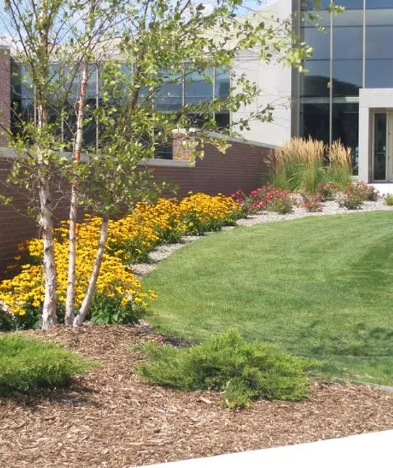 Professional landscaping installation in Edmonton