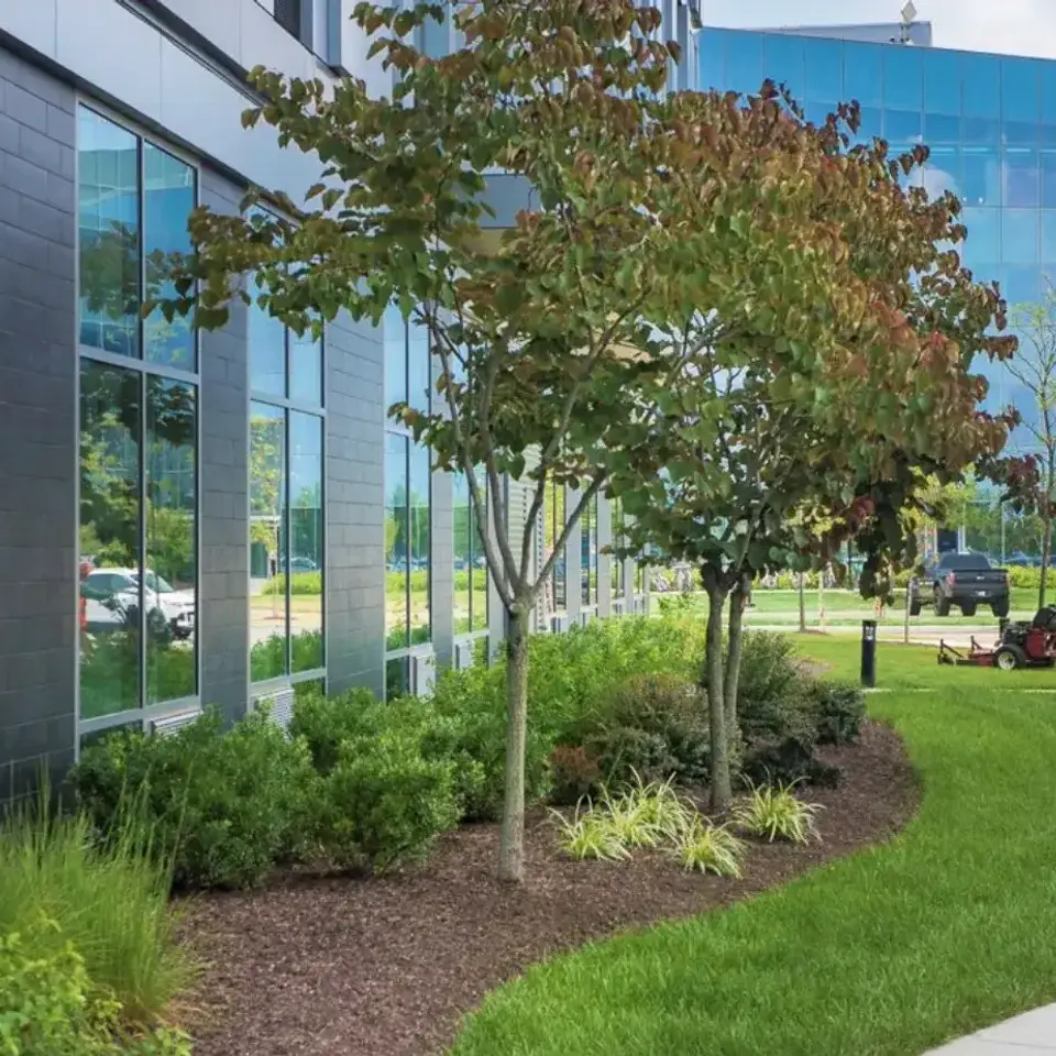 Commercial maintenance services Edmonton