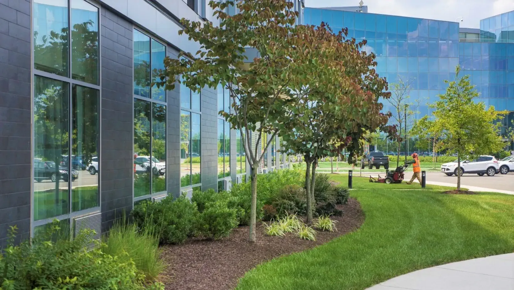 Commercial lawn maintenance