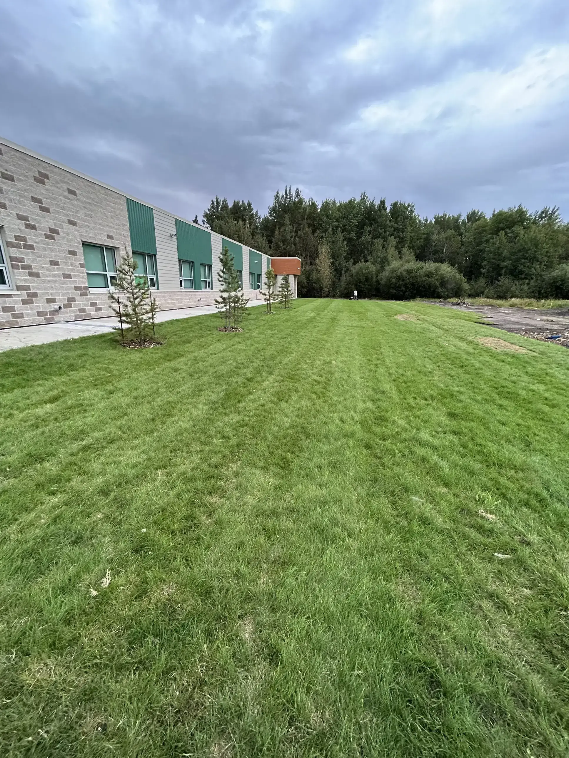 Commercial sod installed in Edmonton
