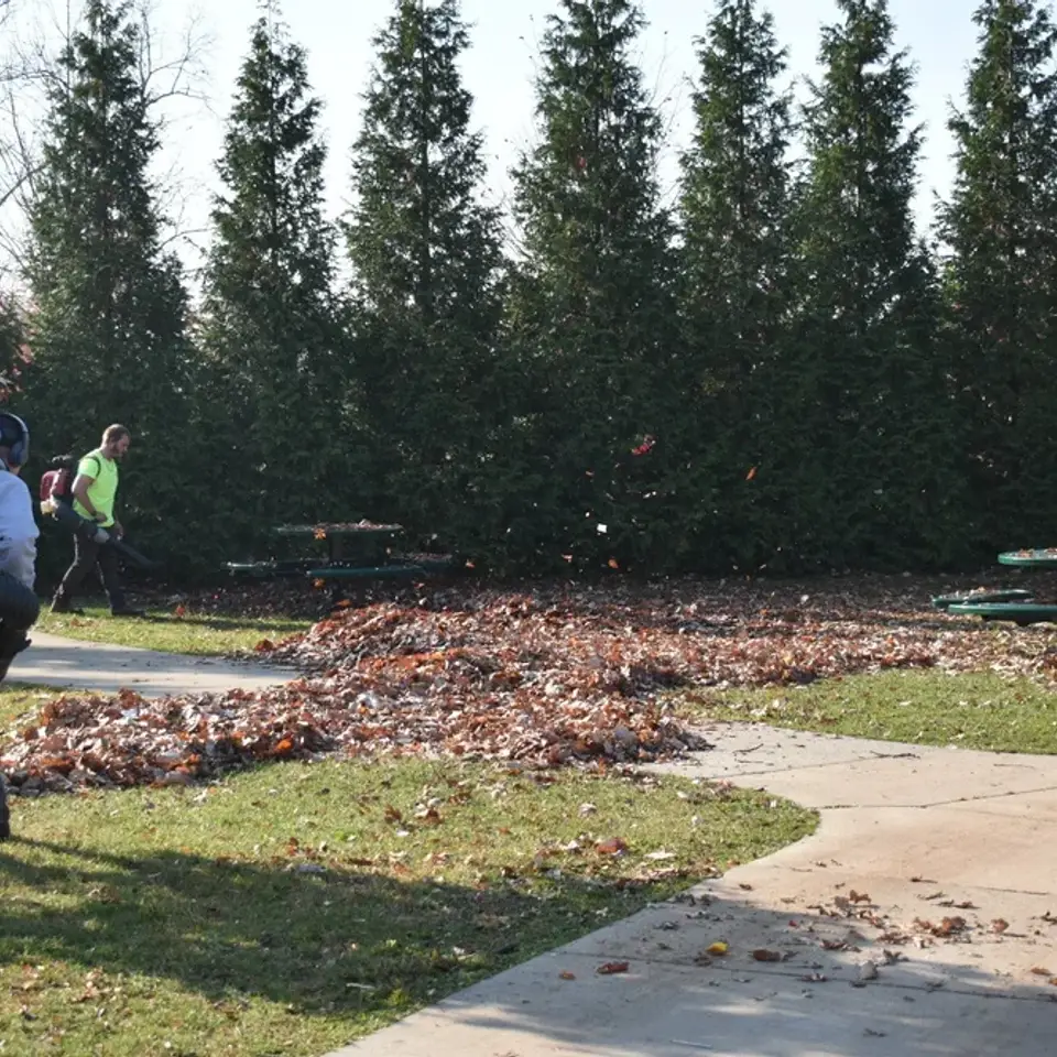 Fall cleanup and landscaping in Edmonton