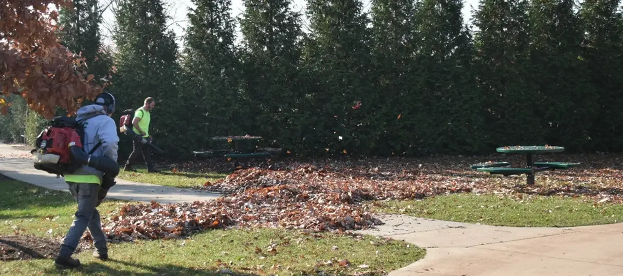 Fall cleanup and landscaping in Edmonton