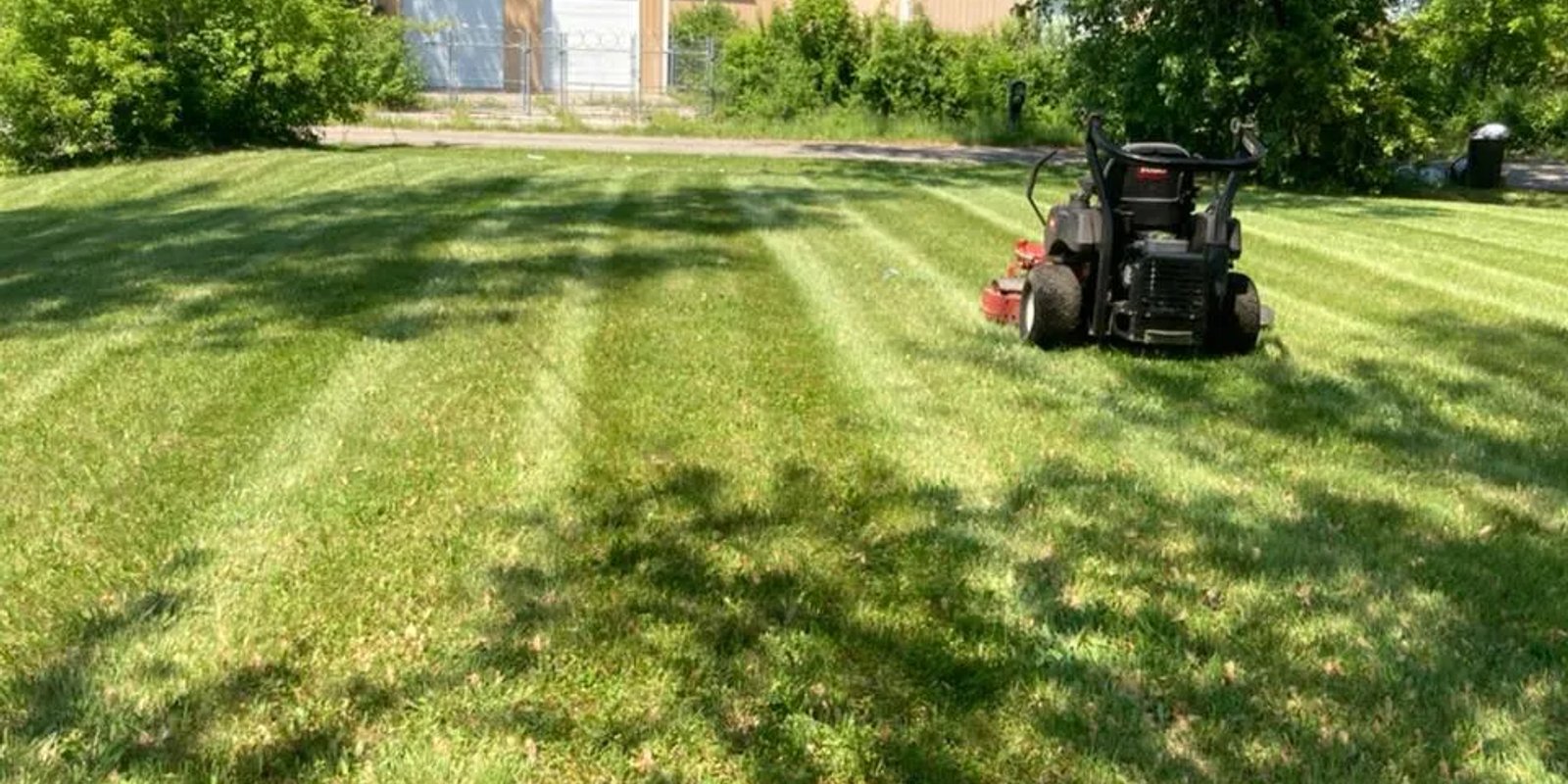 Spring lawn care in Edmonton