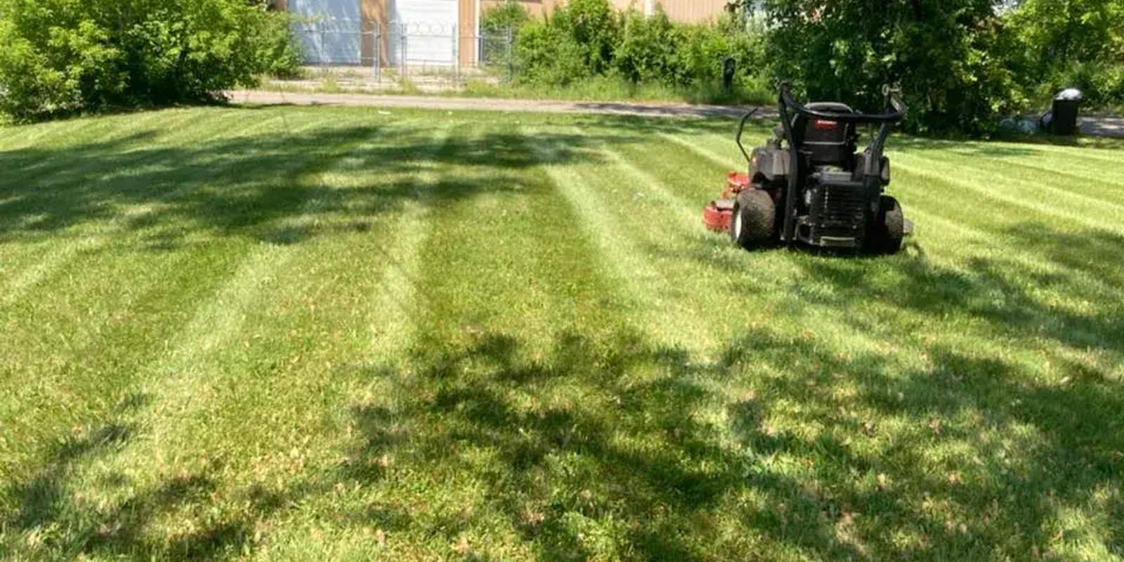 Spring lawn care in Edmonton