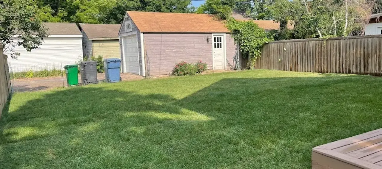 Fresh sod installation in Edmonton with tight seams and clean edges on a residential property.