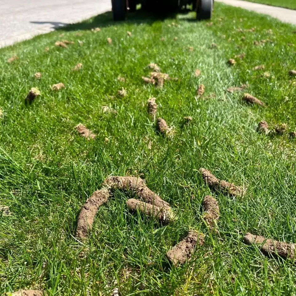 Lawn maintenance Edmonton.