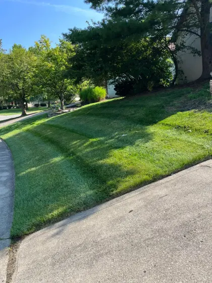 lush grass lawn in Edmonton
