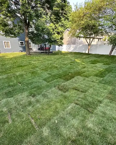 Sod installation in Edmonton