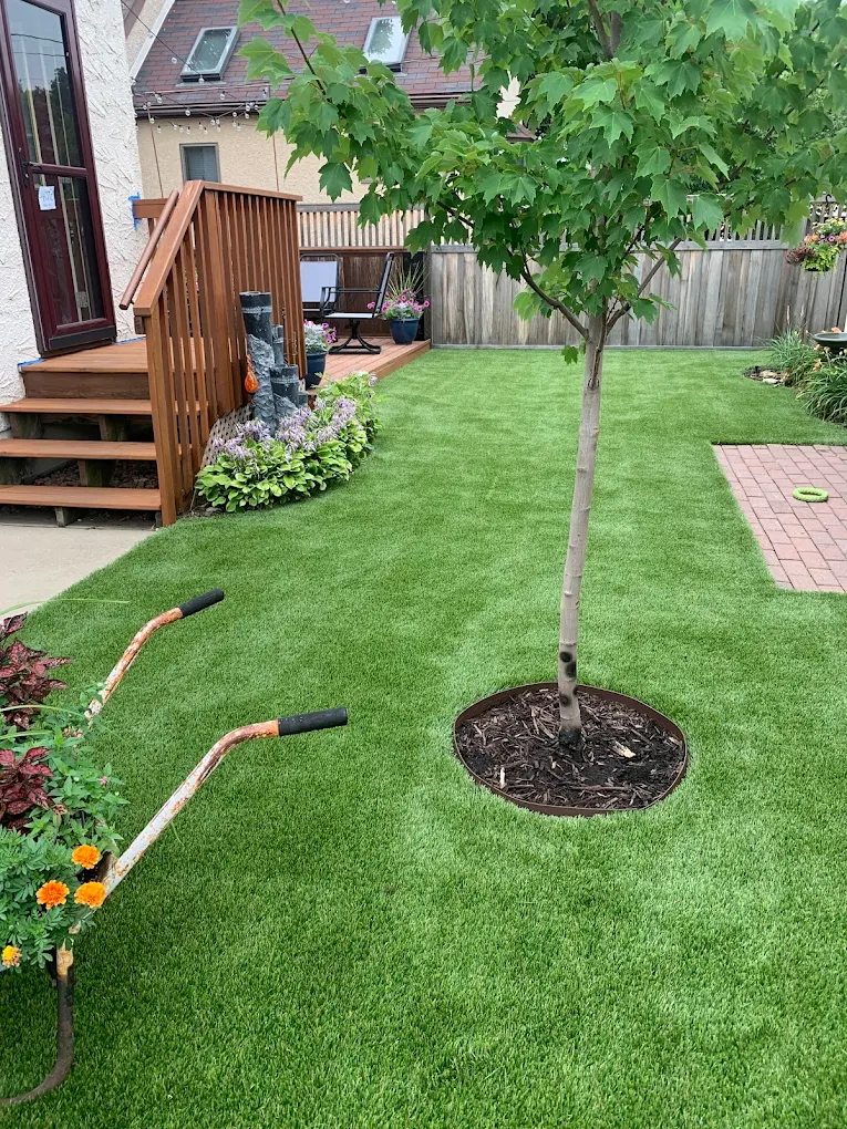 Artificial turf installation in an Edmonton residential backyard showing clean seams and natural-look turf.