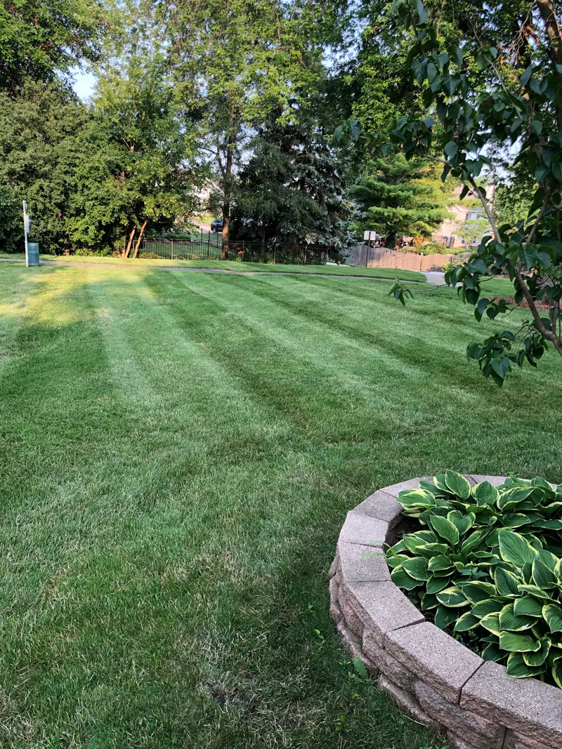 Lawn maintenance in Edmonton