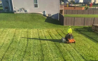 lawn maintenance Edmonton
