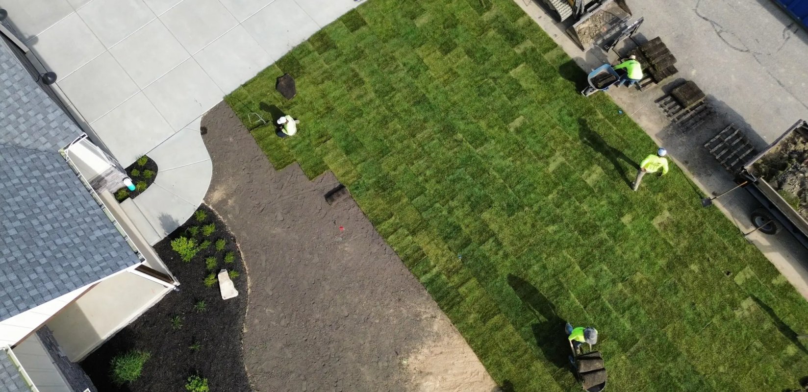 Fresh sod installation in Edmonton