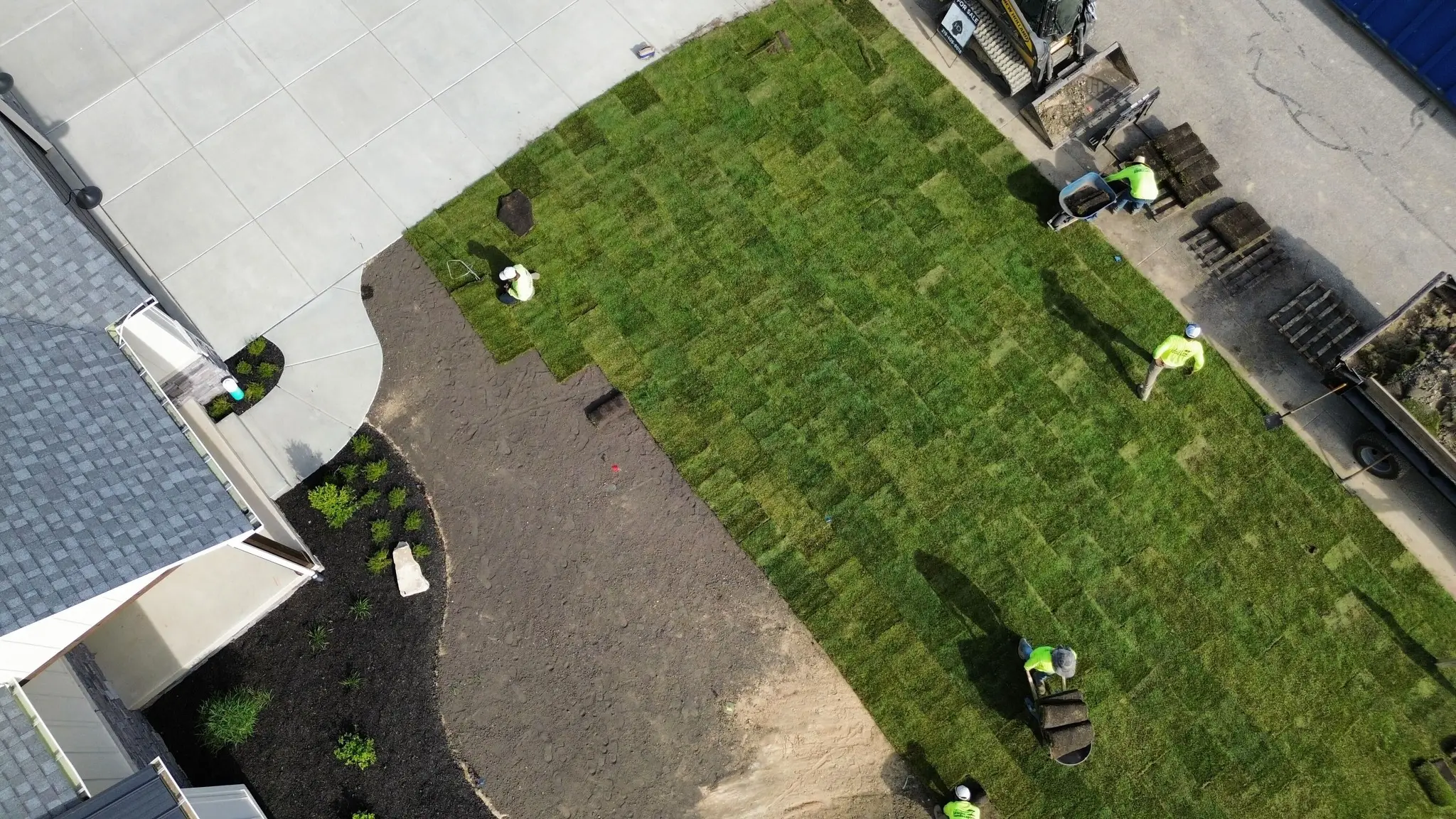 New sod lawn installation on an Edmonton residential property.