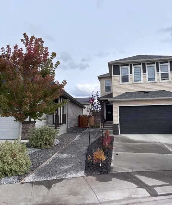 Front yard with trees, shrubs, and decorative rock